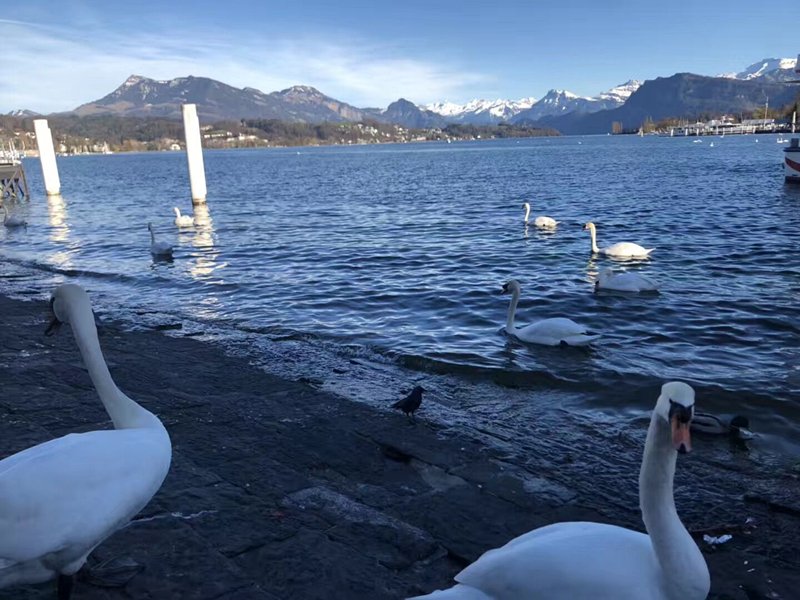 y80000��������