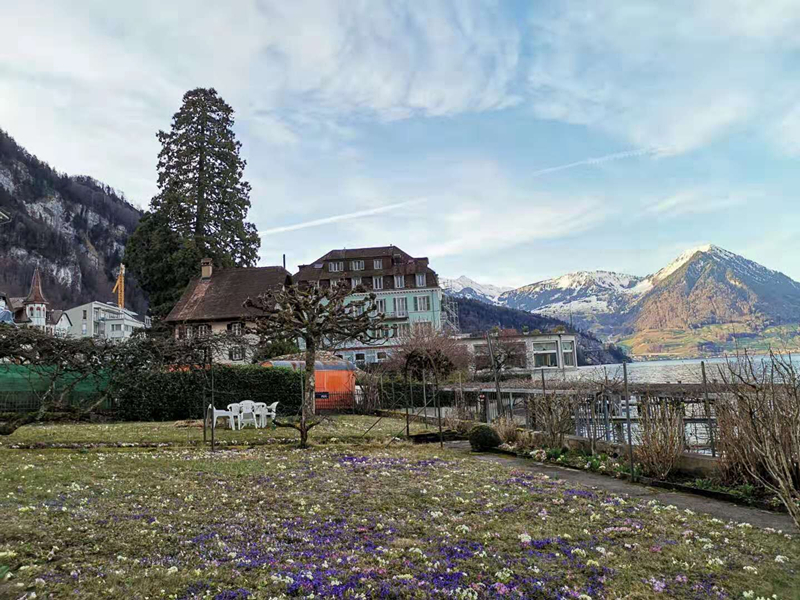 y80000��������