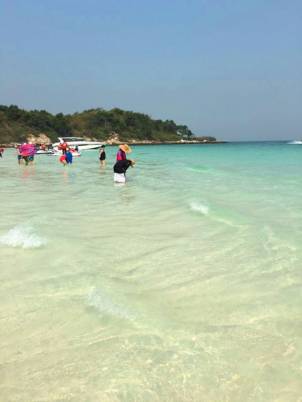 y80000��������