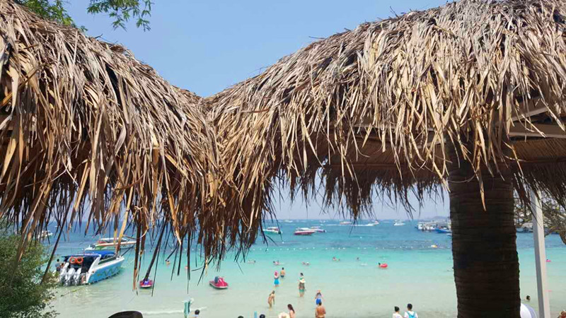 y80000��������