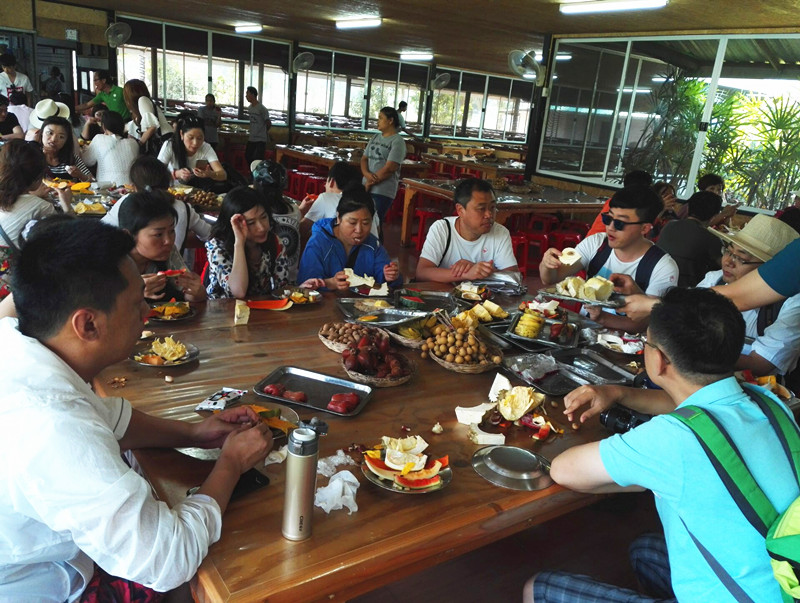 y80000��������