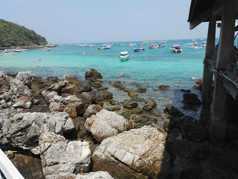 y80000��������