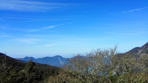 y80000��������