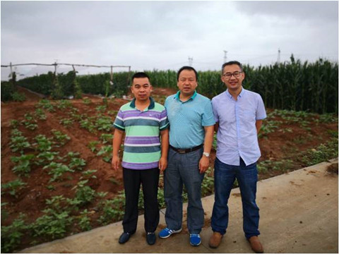 y80000��������