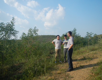 y80000��������