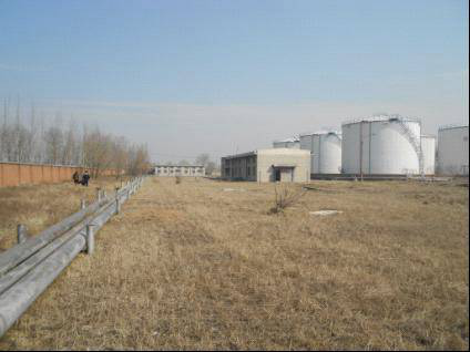 y80000��������