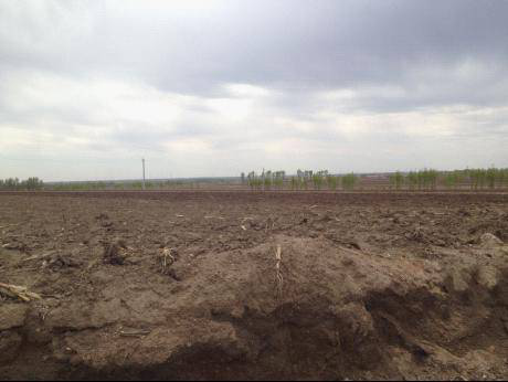 y80000��������