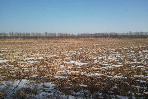 y80000��������