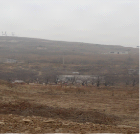 y80000��������