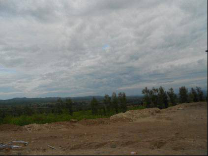 y80000��������