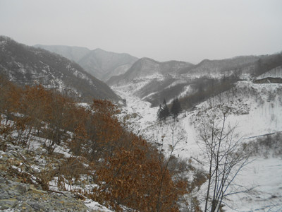 y80000��������