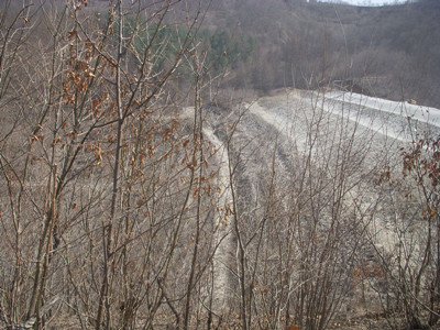 y80000��������