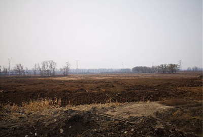 y80000��������