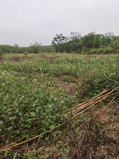 y80000��������