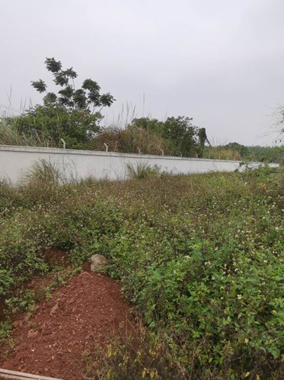 y80000��������