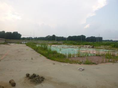 y80000��������