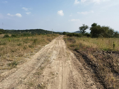 y80000��������