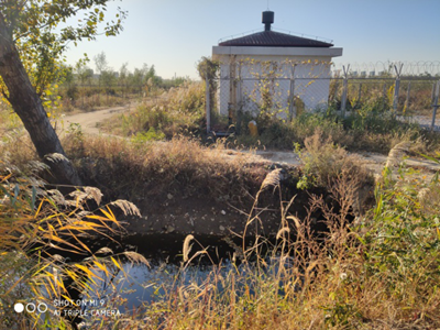 y80000��������