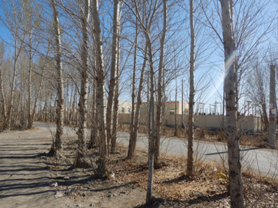 y80000��������