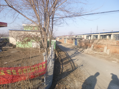 y80000��������