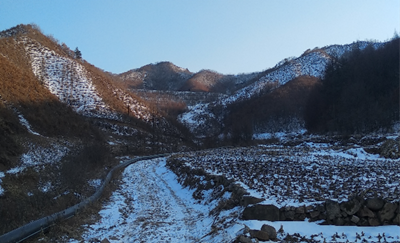 y80000��������