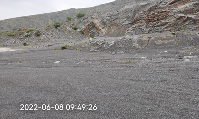 y80000��������