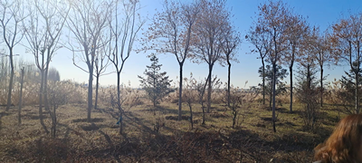 y80000��������