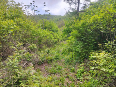 y80000��������