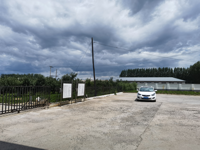 y80000��������