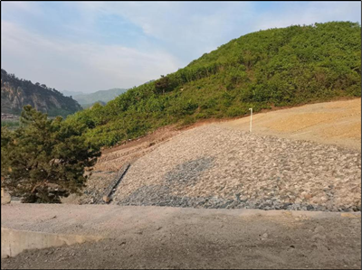 y80000��������