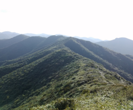 y80000��������