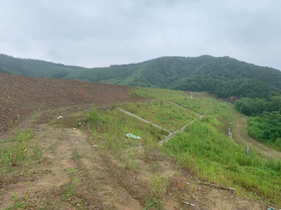 y80000��������