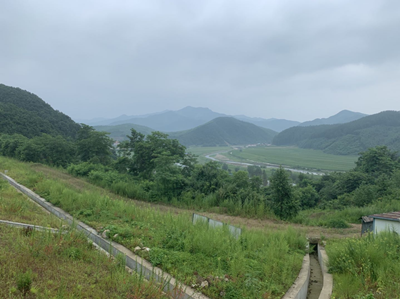 y80000��������