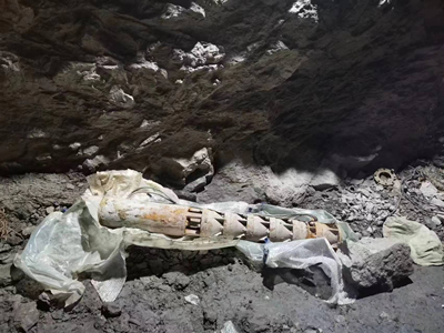 y80000��������