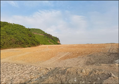 y80000��������