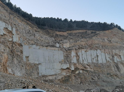 y80000��������