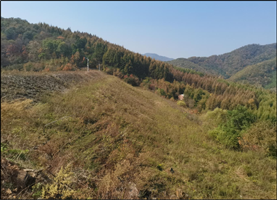 y80000��������