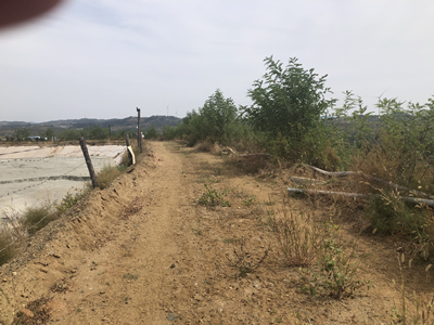 y80000��������