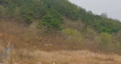 y80000��������