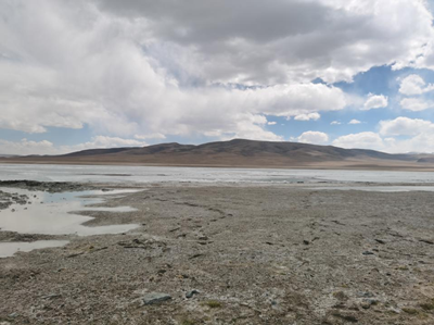 y80000��������