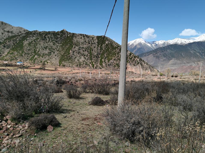 y80000��������