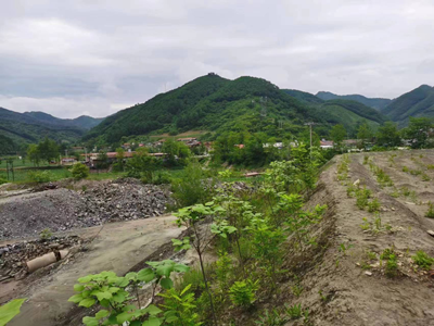 y80000��������