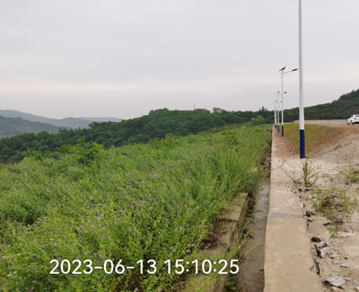 y80000��������