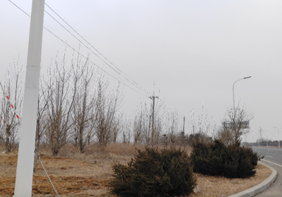 y80000��������