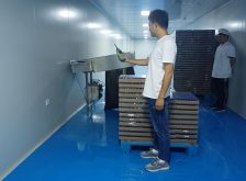 y80000��������