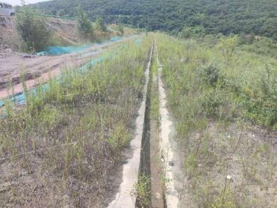 y80000��������