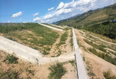 y80000��������