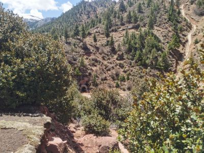 y80000��������