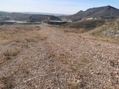 y80000��������