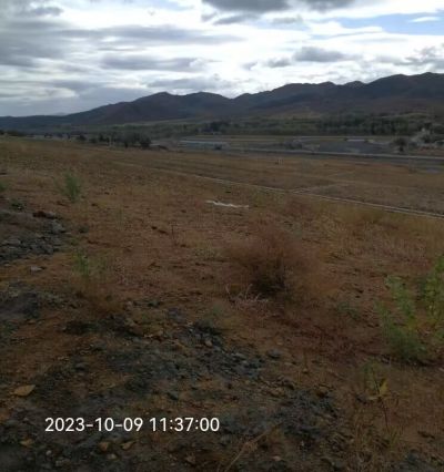 y80000��������